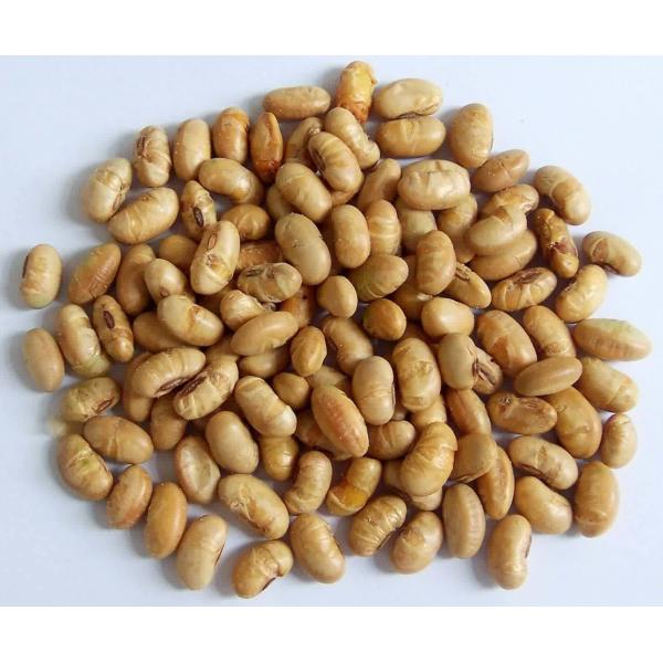 Édamame jaune épicé torréfié