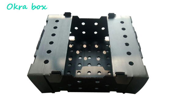 Коробка сота ящиков для хранения Корфлейт брокколи рифленая для плодов