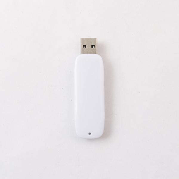 1G/ 2G/ 4G/ 8G/ 16G/ 32G/ 64G/ 128G/ 256GB/ 512GB/ 1TB Plastic USB Flash Drive