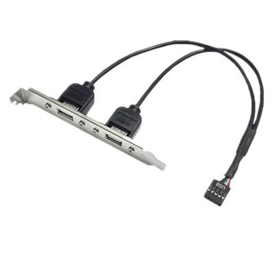 30cm Motherboard Internal 9pin Pitch 2.54mm to Dual Port USB 2.0 A Female Screw Lock Panel Mount Cable