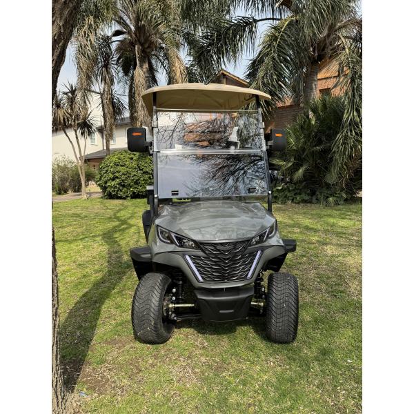 4 кВт 12 дюймовые внедорожные шины с двумя местами электрическая тачка для гольфа литийная батарея с коротким временем зарядки CE одобрен