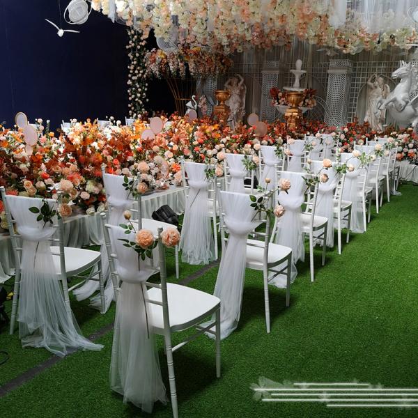 Hotel Celebration Organza Polyester Chair Back Cover