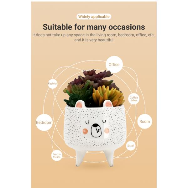 3d Animal Instagram Керамический мини сочный цветочный горшок