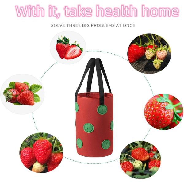 Strawberry Grow Bags, No Gauze Growing Bag, Hole Upside Down Planter Handling Planter Bags, Planting Strawberries