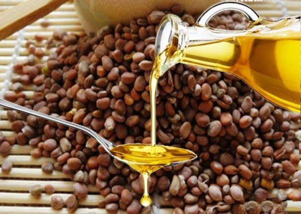 Semen Raphani Healthy Edible Oil Contains 86.16% Unsaturated Fatty Acids