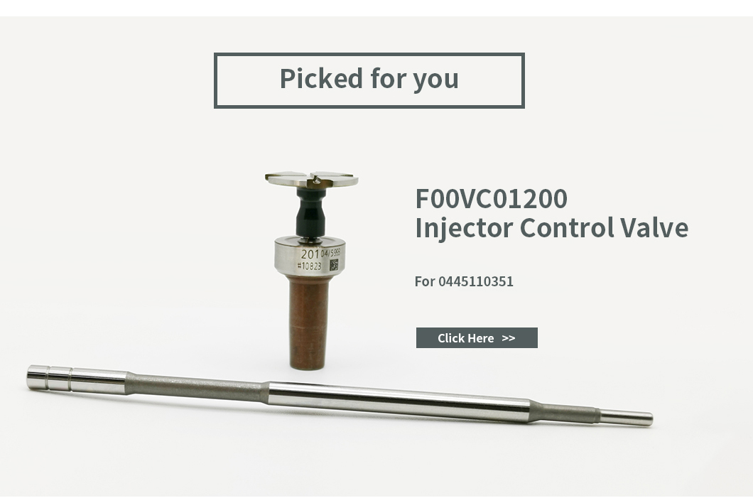 DLLA142P1321 Дизельная сосна Bosch для инжекторов общего рельса 0445110165/244