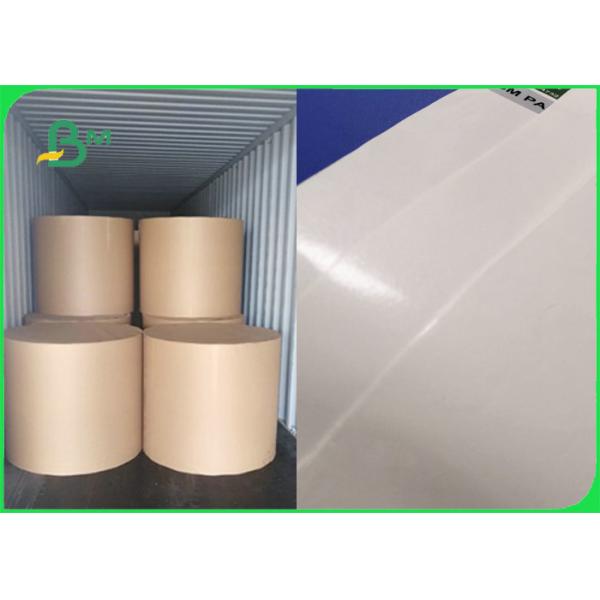 300gr 350gr Food Grade Single Sided PE Coated Paper For Cake Box 100 x 70cm