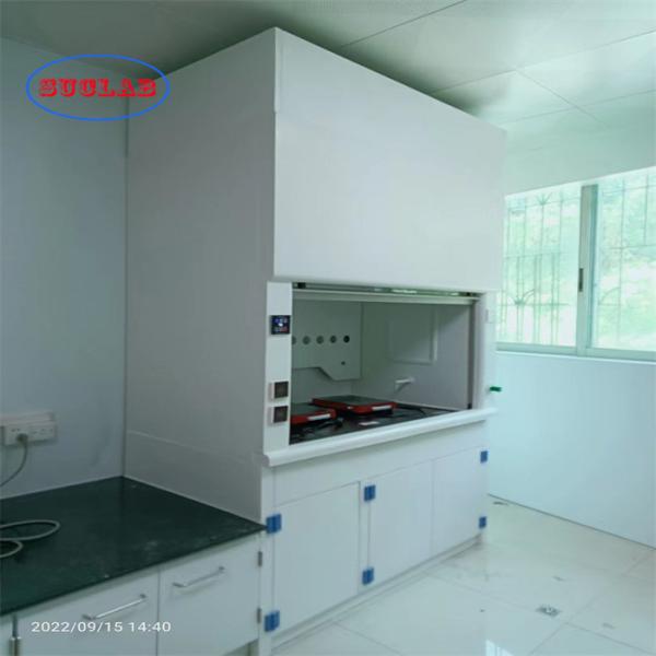 Wall Mounted Perchloric Acid Fume Hoods  Low Noise Level Durable