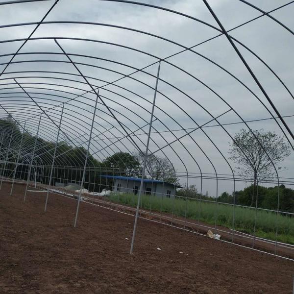 Apoio plástico da agricultura da exploração agrícola do polietileno da estufa do túnel do único período