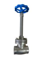 Tipo haste longa da flange de válvula do globo da baixa temperatura de PN40 SS304 para GNL