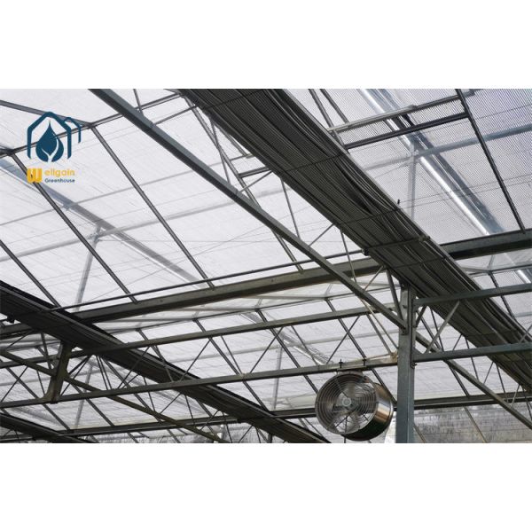OEM Custom Multi Span Film Greenhouse with Adjustable Span Width and Roof Height...