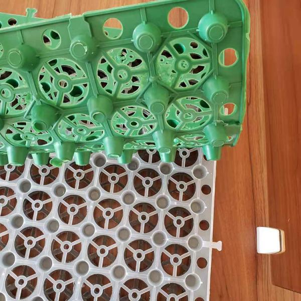 HDPE Plastic Water Impounding Drainage Board Garage Roof Greening Garden Sale at Best