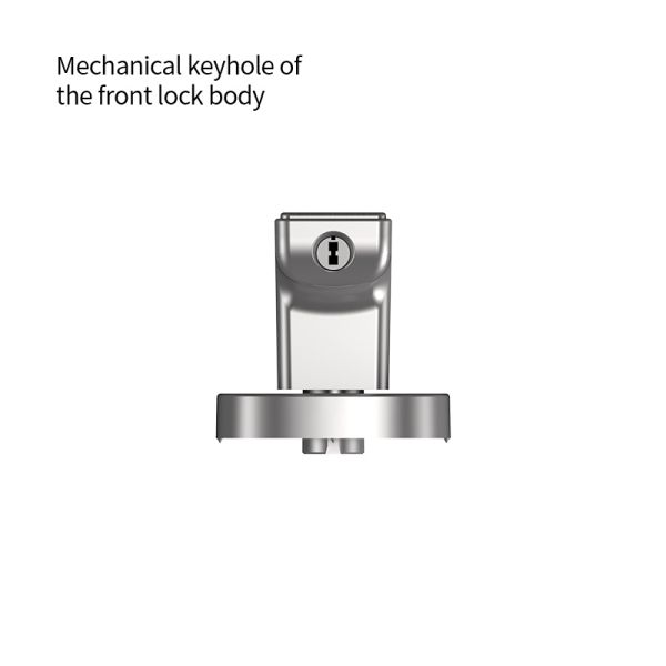 Tuya Smart Lock Durable Aluminum Alloy Auto Entry Door with Fingerprint Password Card and for Easy Installation