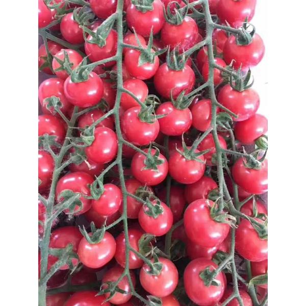 Minerais Chelated ácido aminado de Bisglycinate, ácido aminado do zinco da agricultura