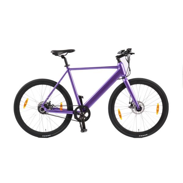 Multicolour Electric Bike LCD Screen Display F R Disc Brake E-Bike Trafficway Road Bicycle