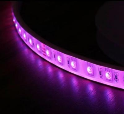 14.4W/M IP68 RGB Color Changing LED Strip Lights For Marine Lighting