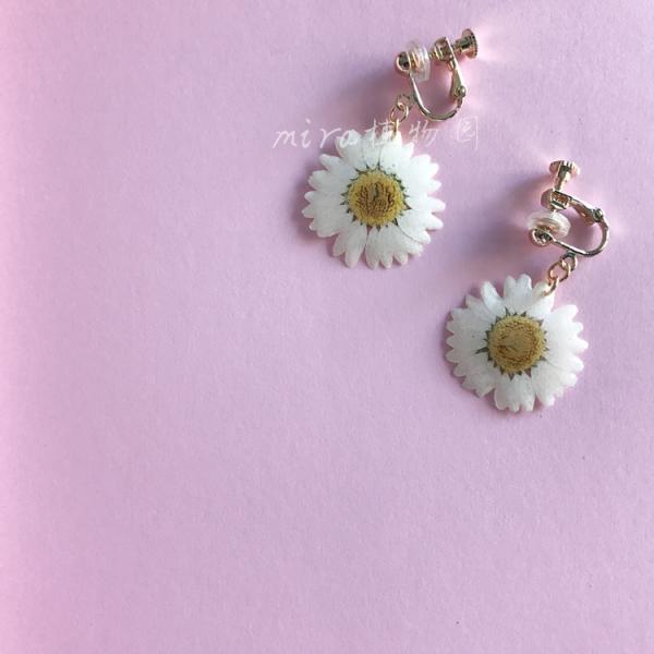 Korea Style Women Elegant Crystal Rhinestone Ear Stud Dry Ginkgo Leaves Cheap Silver Earring