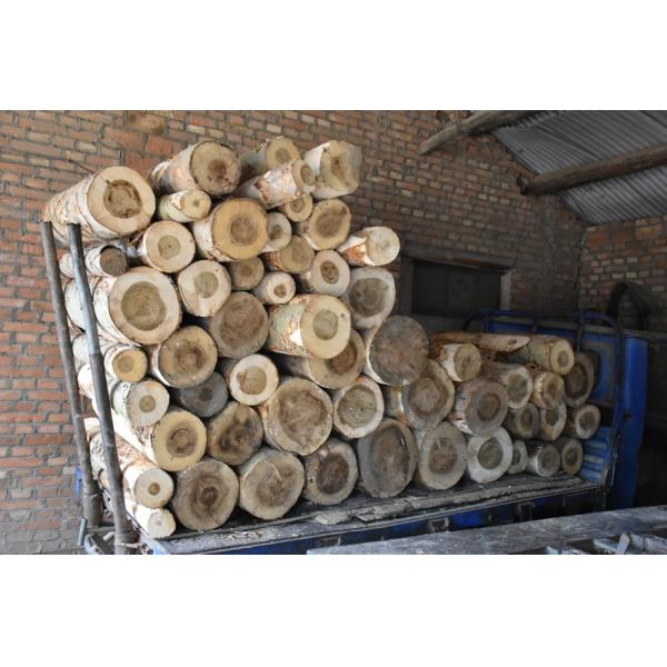 18mm used core face film faced plywoods sheet prices for Construction