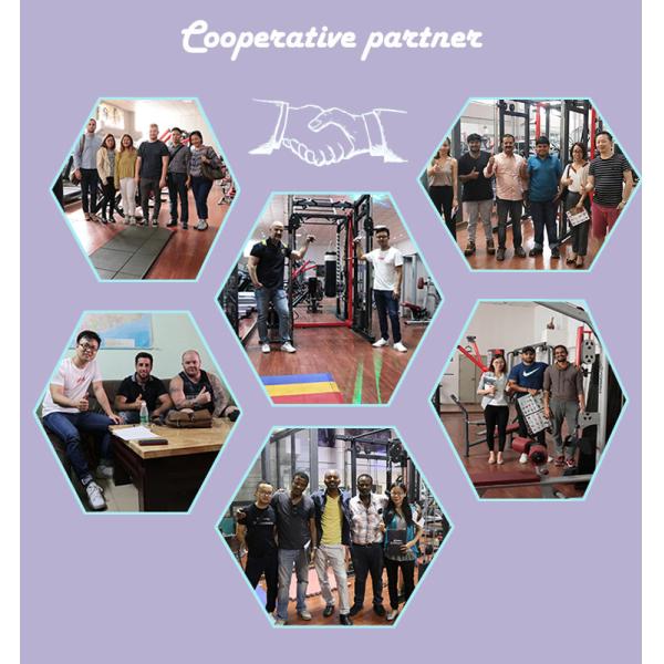 Stainless Steel Plate Bar Full Gym Equipment Hammer Strength Decline Chest Press Trainer Machine