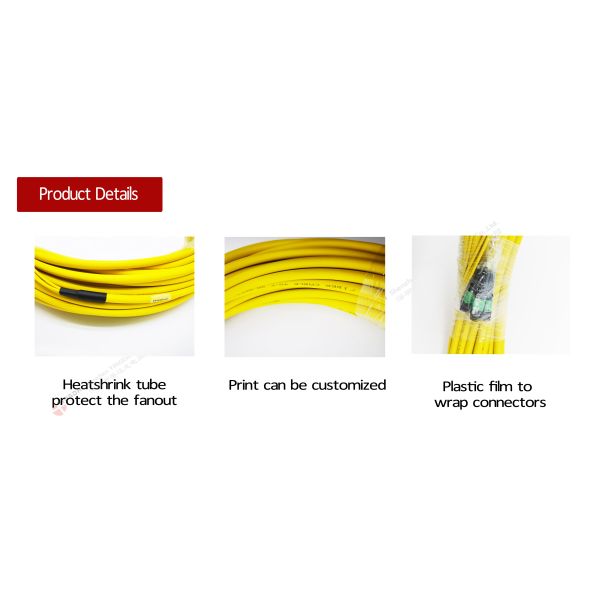 High Density 48 Cores 4pcs 12F Male SM 9 125um G657A2 LSZH 0.35dB Max. MPO Patch Cable for 100G Fiber Optic Communication System Cord Type B