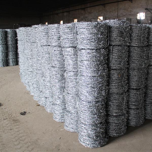 Cercas de arame farpado galvanizadas a quente com material de aço inoxidável