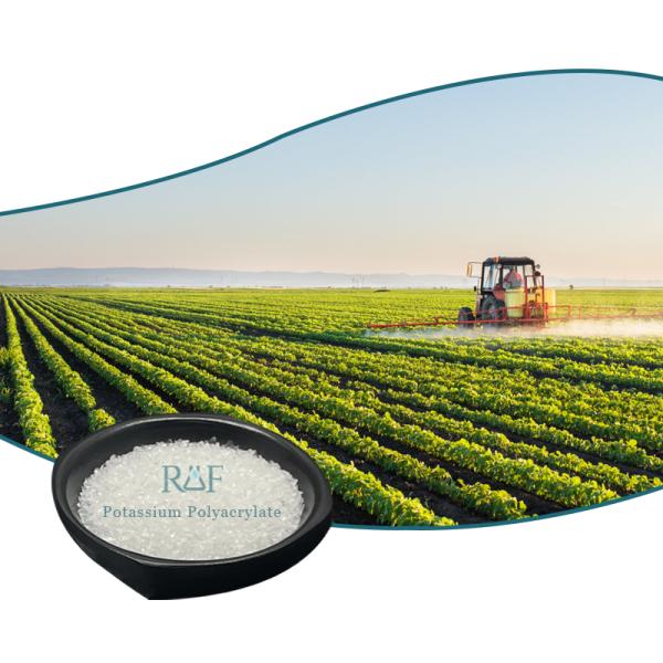 208-750-2 SAP Potassium Polyacrylate Super Absorbent Polymer 9003-04-7 Odorless Realfine 99.9%