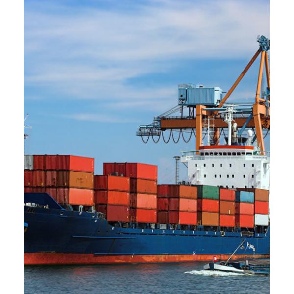 Поднимает Fba грузя от двери воздуха Китая к доставке Шанхаю двери к Соединенным Штатам