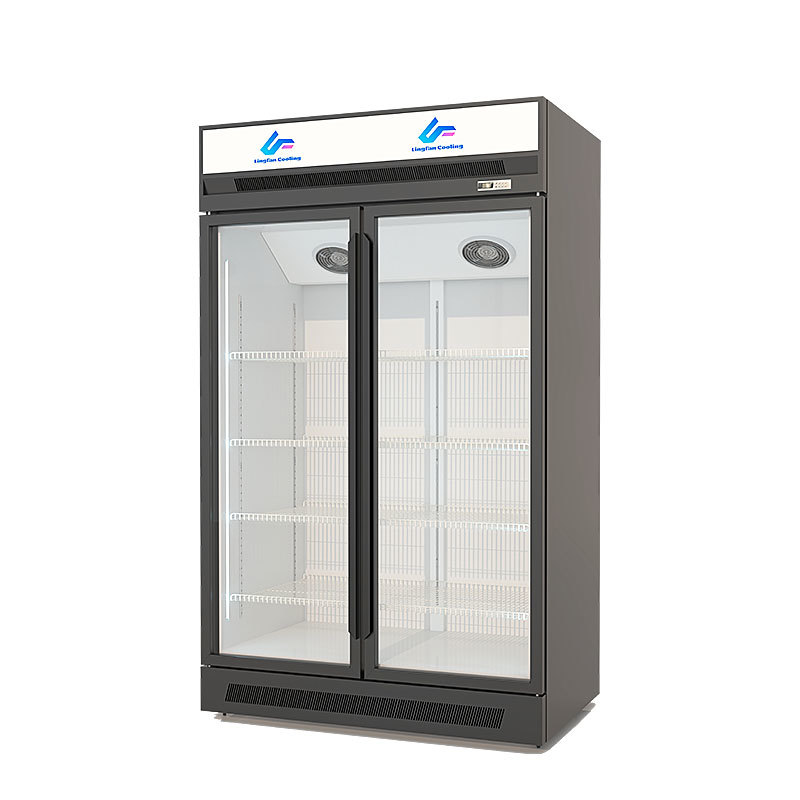 Luxury Commercial Freezer with Air Cooling, R290a Refrigerant, and Swing Glass Door Design