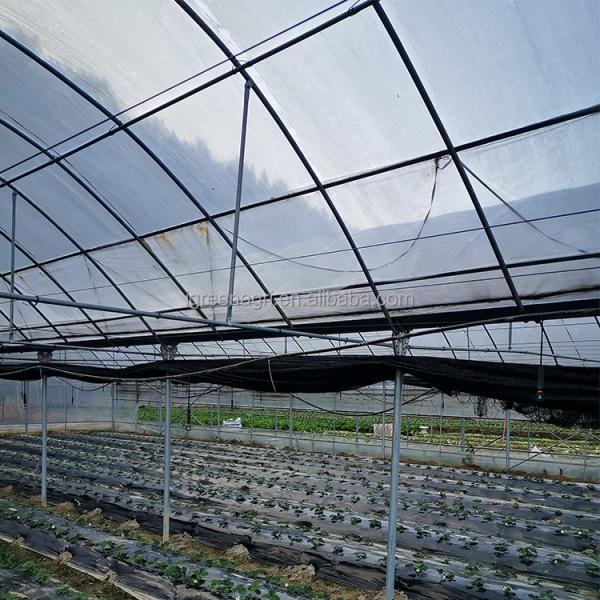 Film Cover Fiber Glass Greenhouse 8m Tunnel Width With Cooling Pad