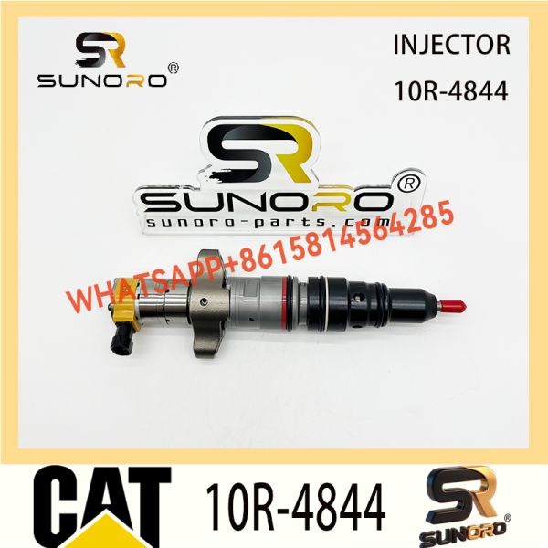 Common Rail Fuel Injector 10R-4844 for CAT C9 with 12 Months Warranty
