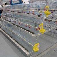L'acier 3 de HDG fatigue la cage de batterie pour la ferme avicole de poulets à rôtir