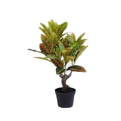 Plantas artificiais da casa do Croton, chama falsificada da decoração da planta - Eco retardador amigável