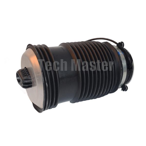 W213 Rear Left Right Air Suspension Springs With Wire 2133200125 2133200225