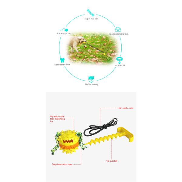 Elastic Plastic Cute Pet Toys Outdoor Water Dog Chewing Ball