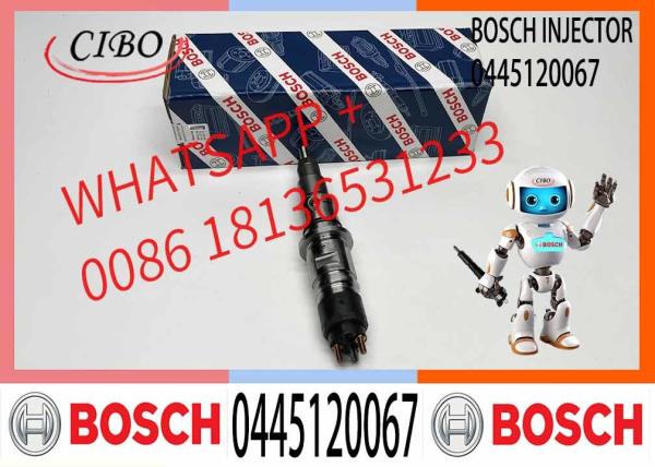 Hot Sale Manufacture Engine Diesel Fuel Injector 0445120067 For Deutz D6E EC210 EC200 Excavator Engine