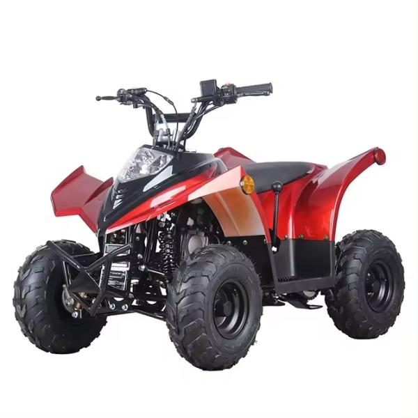 Compact Chain Transmission ATV 125cc 110CC 70CC with Low Fuel Consumption