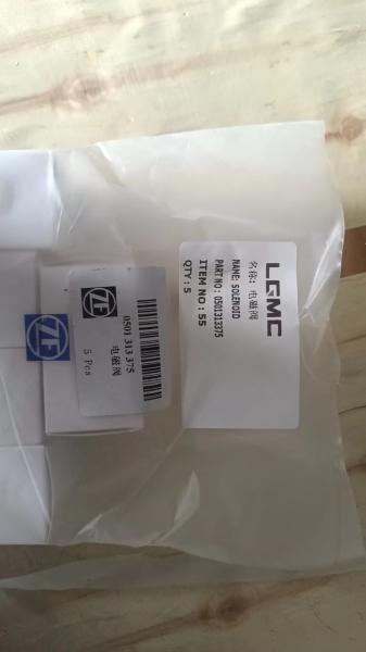 Válvula de solenoide de aço inoxidável de bronze personalizada 0501 313 375