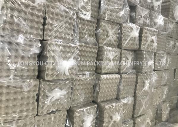 Linha de produção máquina moldando da bandeja do ovo do combustível diesel 50HZ da polpa