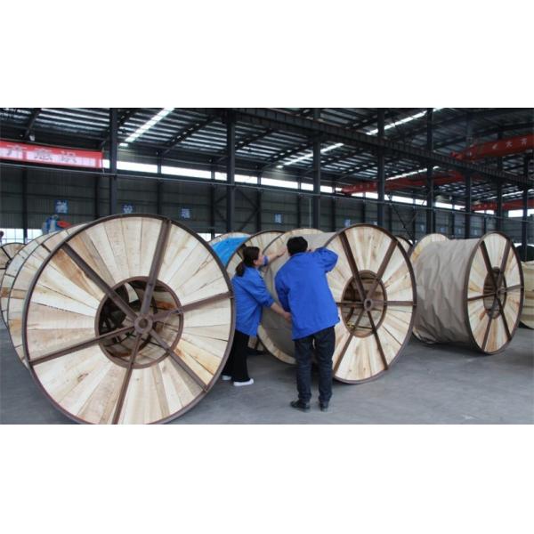 High quanlity ACSR Aluminium conductor Cable For Power Transmission Line