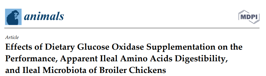 High Purity Glucose Oxidase 5000U/G Powder