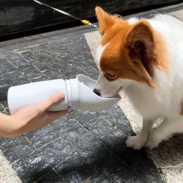 550ml Outdoor Pet Feeding Bottle Folding Portable Dog Water Bottles