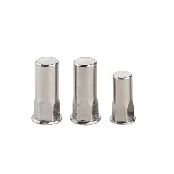 Metric Inner Hex Body Closed End Rivet Nut With Flat Head Stainless Steel Material