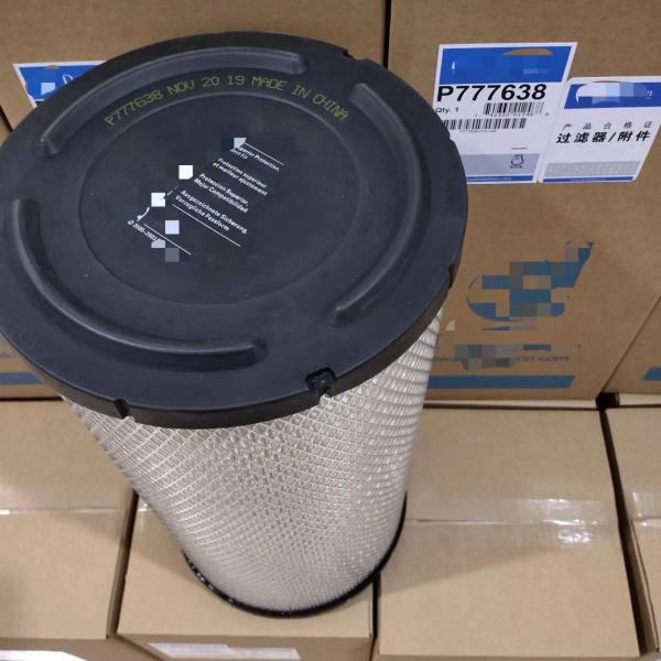 Car Model P777638 Engine Air Filter RS3884 AF25492 AF25964 with Excellent Performance