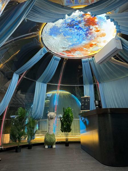 Clear Igloo Tent PC Bubble Geodesic Dome Polycarbonate Tent for Outdoor Glamping for Park Application and Container Houses