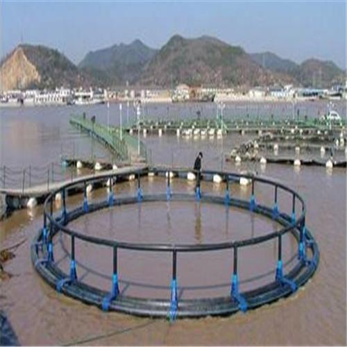 Long Life Anti UV Floating Fish Cage Safety Corrosion Resistance Less Maintenance