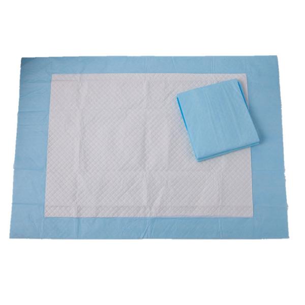Anti Leak 40*60cm Disposable Puppy Training Pads