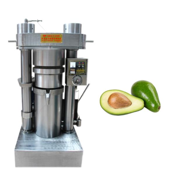 Промышленный диаметр торта масла давления 250мм МПа машины обработки 60 пищевого масла