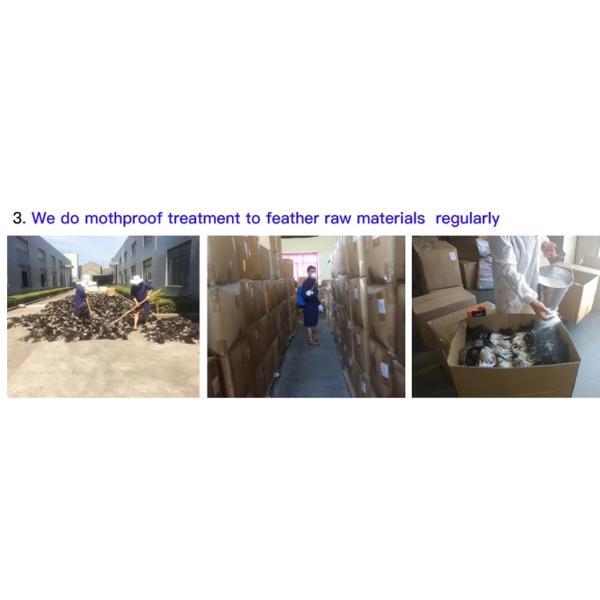 Guangdong Hongfa Import & Export Co., Ltd.