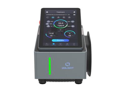 Painless Laser Therapy For Animals CE Class 4 Laser Therapy Machine