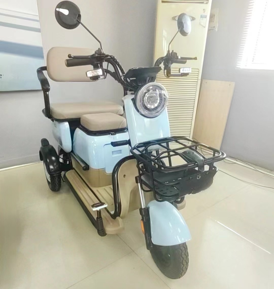 Manned Leisure Electric Vehicle Hot Chinese Small Electric Tricycle with Powerful 801-1000W Motor